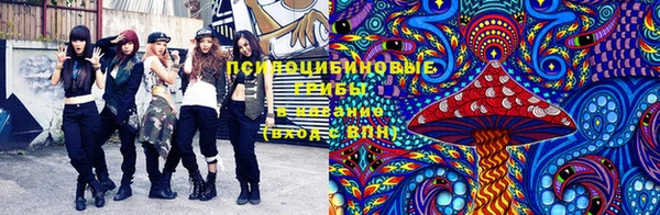 дмт Нея