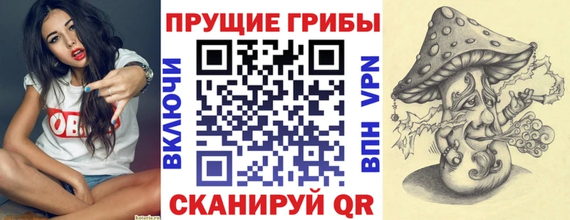 Купить  Армавир  Псилоцибиновые грибы Psilocybe